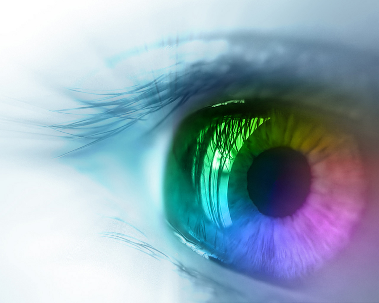 Iris.jpg (2226 bytes)