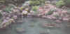 niagara4.jpg (25861 bytes)