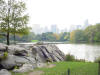 From the pond in Central Park...view of the skyline in the distance