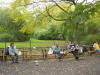 Strawberry Fields in Central Park..... 