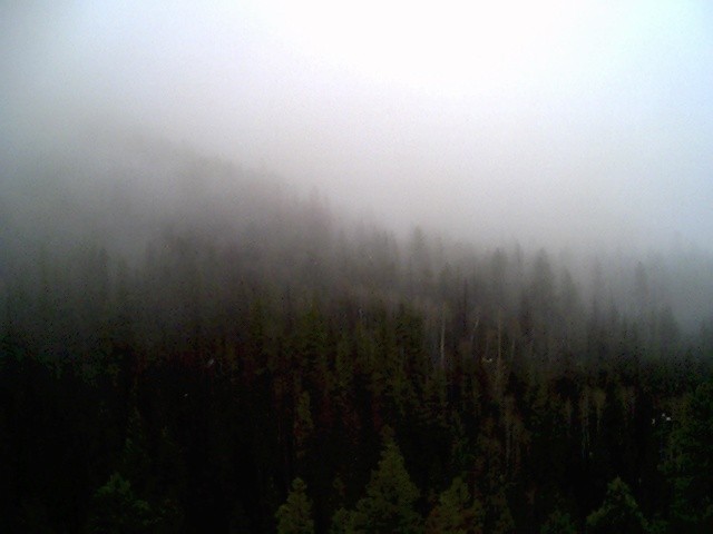 After rain on Lukachukai Mts.