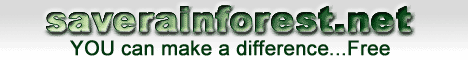 Save the Rainforest Here!!!