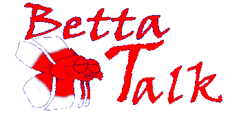img0.gif (70157 bytes)