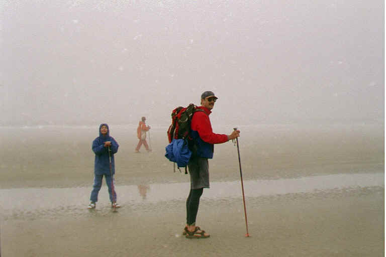 FamilyBeachCombingPacificRimNatlPark2.JPG (21307 bytes)