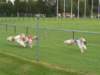 Photo Number 9