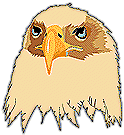 eagle head