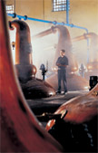 Picture of Stills