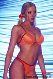Bikini babes and wrestling stars