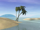 Accurate Online Psychic Readings