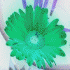 Jordi Rosen Divination: jordilotus@yahoo.ca