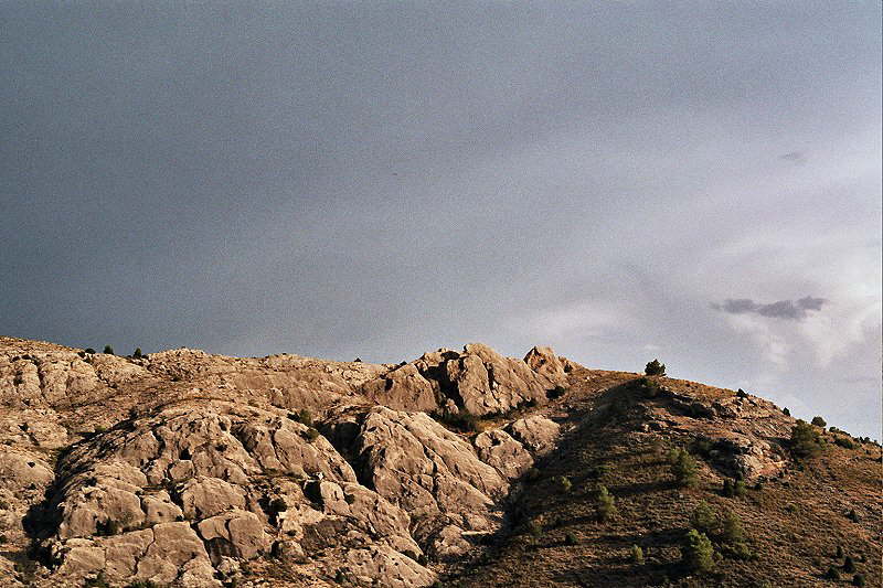slide0007_image007