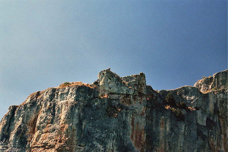slide0015_image021