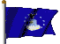 CLICK FLAG