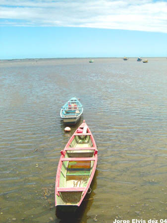 Barcos_1