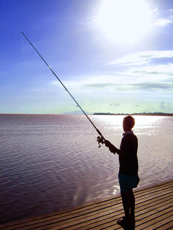 Pescador_Solitario