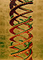 Escalera al Cielo II