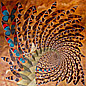 Mariposas