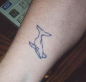 Jeff the whale