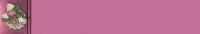 fleurs_sechees.jpg (72291 octets)
