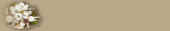 papierbouq4.jpg (8747 octets)