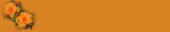 papierroseorange.jpg (6250 octets)