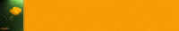 solitaireorange.jpg (30912 octets)