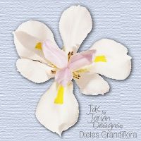 Preview of Dietes tube