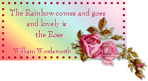 Rainbow rose blinkie