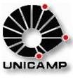 logounicamp