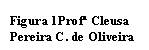 Caixa de texto: Figura 1Prof� Cleusa Pereira C. de Oliveira