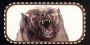 ../jorrjorr3/images/minis/fantasy/brown_bear_h.jpg