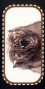 ../jorrjorr3/images/minis/fantasy/brown_bear_v.jpg