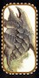../jorrjorr3/images/minis/fantasy/bullette_v.jpg