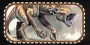 ../jorrjorr3/images/minis/fantasy/destrachan_h.jpg