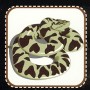 ../jorrjorr3/images/minis/fantasy/giant_constrictor_snake.jpg