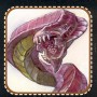 ../jorrjorr3/images/minis/fantasy/purple_worm.jpg