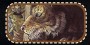 ../jorrjorr3/images/minis/fantasy/weretiger_h.jpg