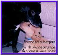 True friendship begins with Acceptance