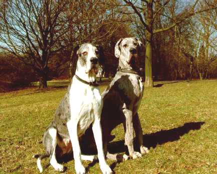 Thora and Beethoven