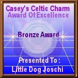 Casey's Celtic Charm Bronze Award