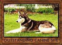 WPA Outstanding Canine Award
