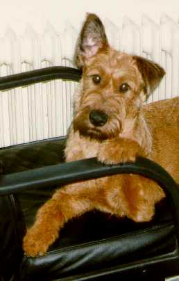 Janka I