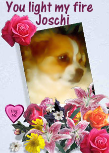 Valentine Greetings from Jendi