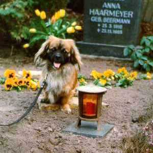 Joschi on the grave © by Ulrich Leive