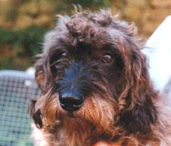 Kathi 1