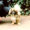 Joschi X � by Ulrich Leive