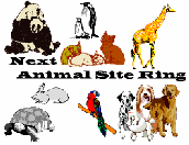 Animal Site Ring Next