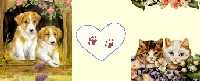 Pawprints On The Heart