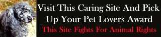 Pet Lovers Banner