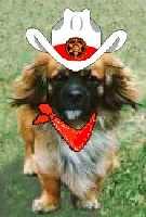 Joschi as Deputy
